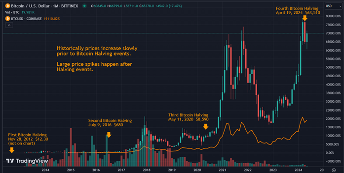 Bitcoin Price Chart with all Bitcoin Halving Dates